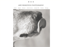 Tablet Screenshot of amymansfield.com